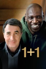1+1 бесплатно